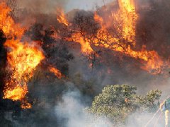 洛杉磯爆發史上最大山火，宣布進入緊急狀態